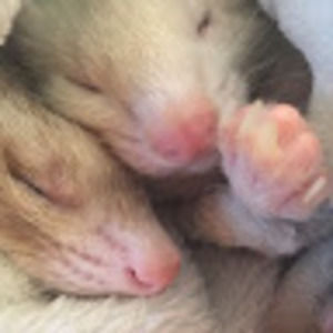 Meet your Posher, Claire